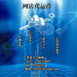 沈陽淘寶天貓代運營團隊推薦與網絡營銷策劃詳解